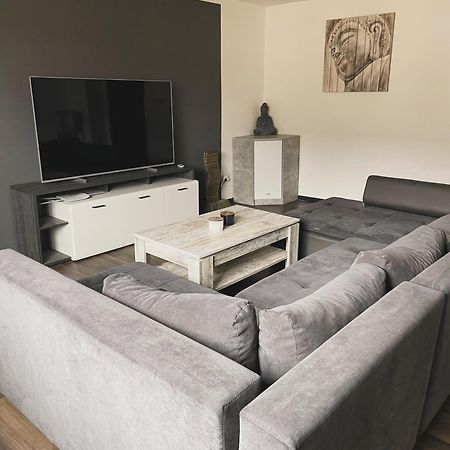 Dr. Wolf Apartment كارلوفي فاري المظهر الخارجي الصورة
