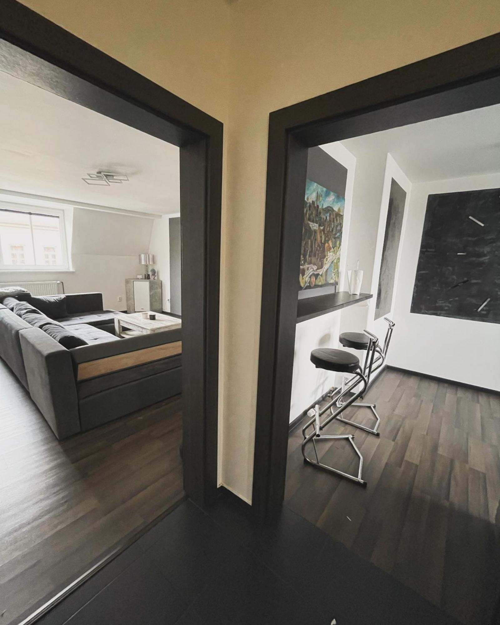 Dr. Wolf Apartment كارلوفي فاري المظهر الخارجي الصورة