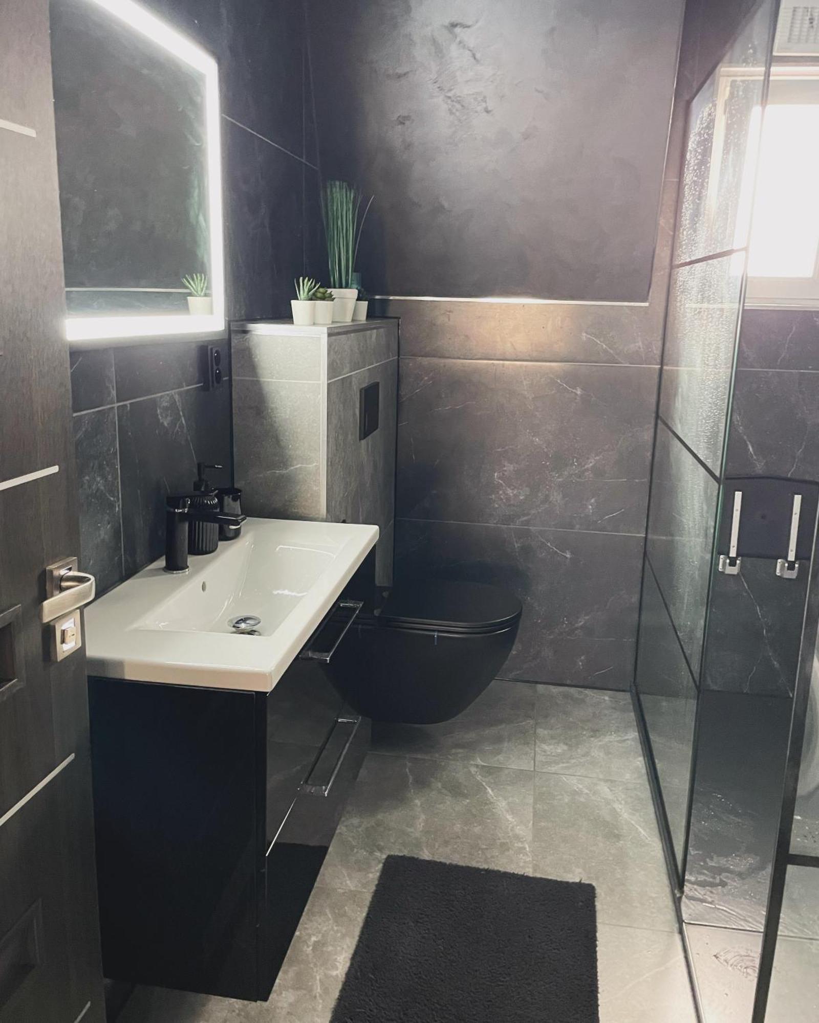Dr. Wolf Apartment كارلوفي فاري المظهر الخارجي الصورة